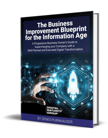 The-Business-Improvement-Blueprint-3d