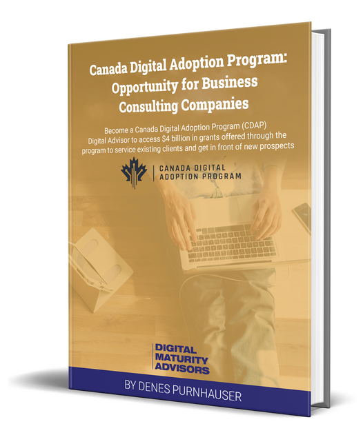 cdap-ebook-business-consulting-companies